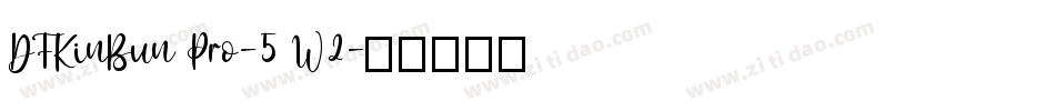 DFKinBun Pro-5 W2字体转换